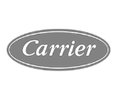 carrier-en-san-juan